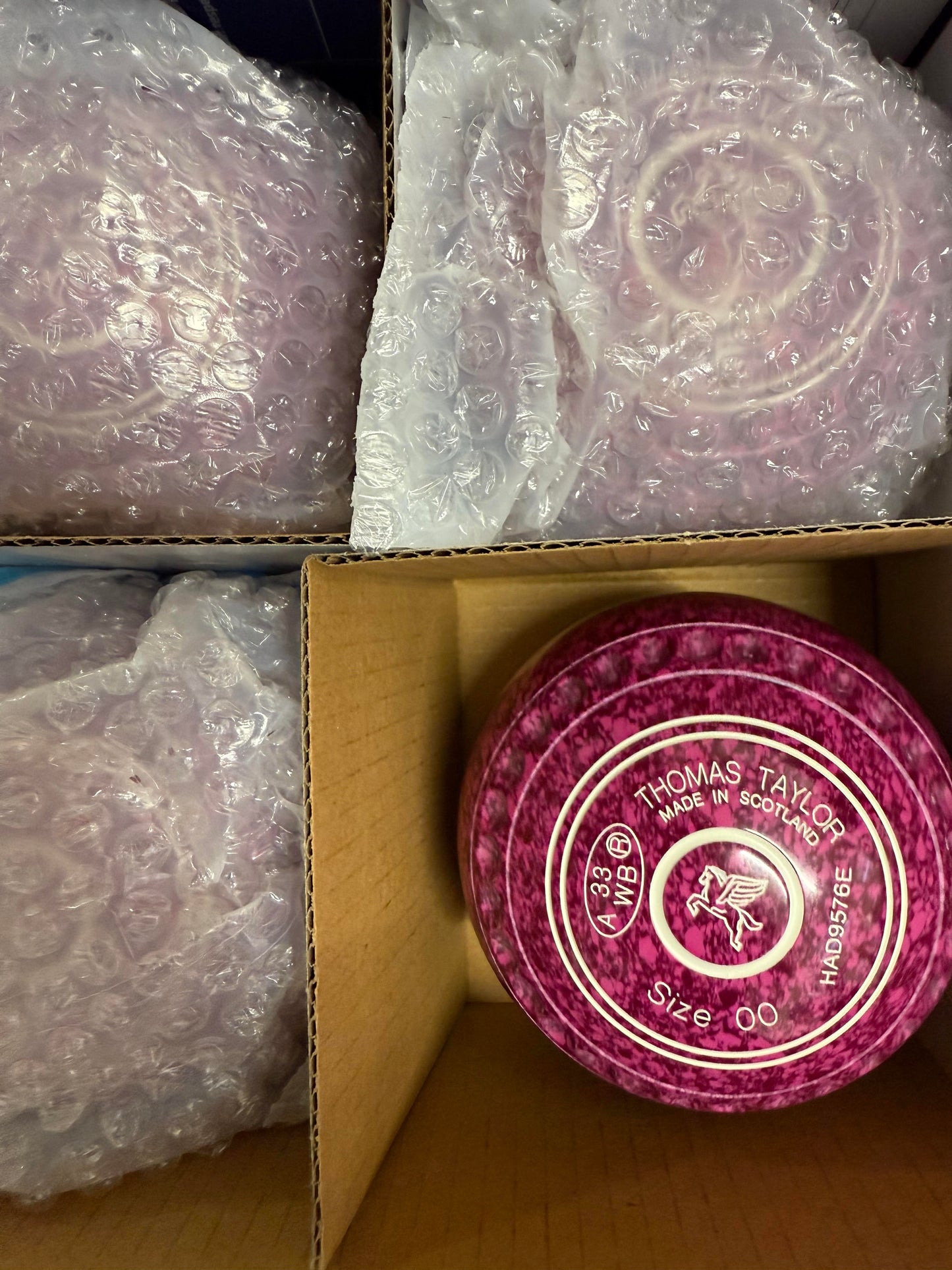 Taylor Ace Lawn Bowls Size 00 Pro Grip